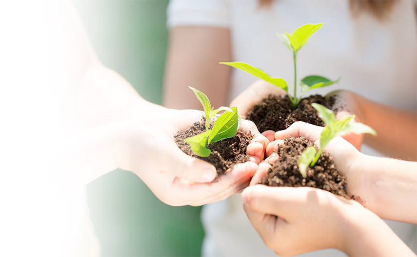 关于乐竞手机网页版登录入口官网